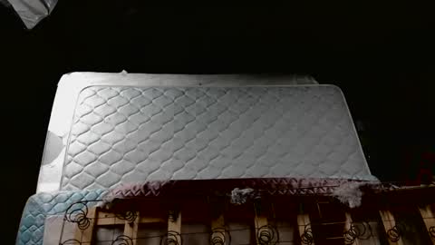 meateater7455 online show from November 16, 2025, 8:31 am