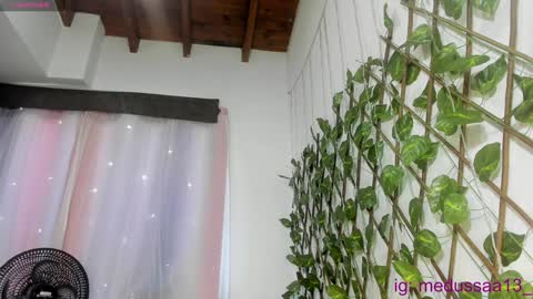 medussa13 online show from December 3, 2024, 12:06 pm