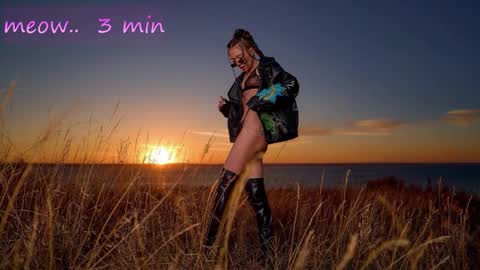 Sweet Meow nonude online show from November 18, 2025, 1:11 am