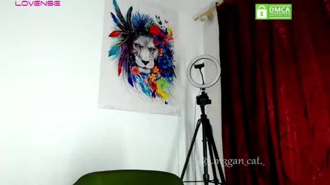 Snapshot of megan_cat chatting on November 11, 2025, 11:21 am megan_cat online show from November 11, 2025, 11:21 am