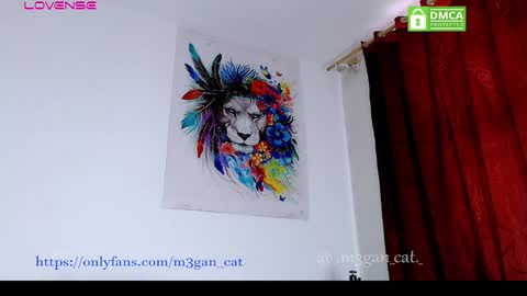 Snapshot of megan_cat chatting on November 18, 2025, 8:46 pm megan_cat online show from November 18, 2025, 8:46 pm