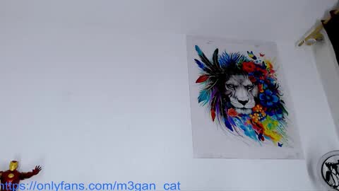 Snapshot of megan_cat chatting on November 25, 2025, 10:59 am megan_cat online show from November 25, 2025, 10:59 am