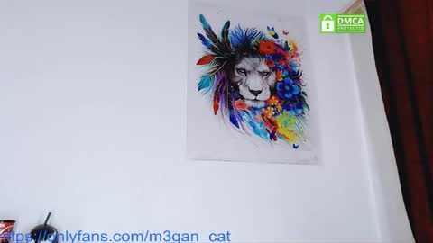 Snapshot of megan_cat chatting on December 1, 2025, 3:28 pm megan_cat online show from December 1, 2025, 3:28 pm