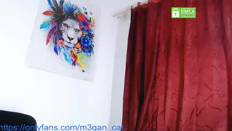 Snapshot of megan_cat chatting on December 4, 2025, 12:14 pm megan_cat online show from December 4, 2025, 12:14 pm