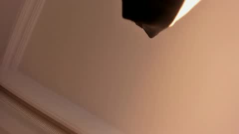 Snapshot of megan_moore__ chatting on February 1, 2025, 5:58 pm online show from February 1, 2025, 5:58 pm