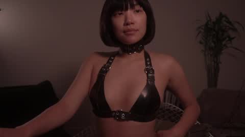  for more 3 online show from October 26, 2025, 2:17 am