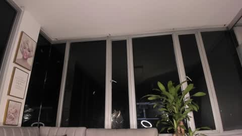 Mara online show from January 31, 2025, 10:42 am