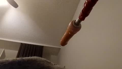 meheriuk68 online show from December 17, 2025, 12:16 am