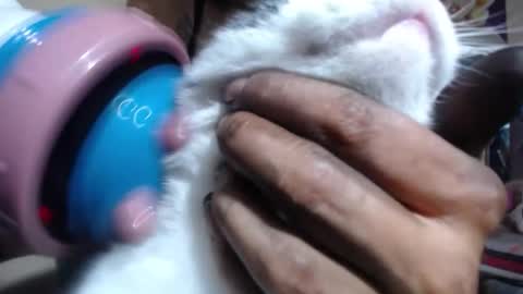 Snapshot of melany_isabella chatting on November 6, 2025, 8:54 pm melany online show from November 6, 2025, 8:54 pm