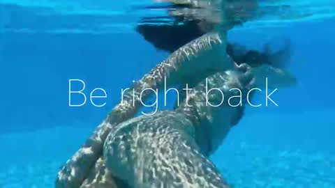 Snapshot of melanybunny chatting on November 3, 2025, 9:48 pm Adel online show from November 3, 2025, 9:48 pm