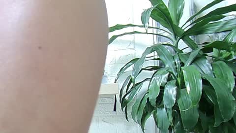 Melissa online show from January 23, 2025, 11:37 am