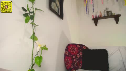 melissa online show from February 11, 2025, 12:17 am