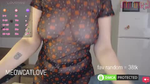 Snapshot of meowcatlove chatting on January 27, 2025, 6:31 pm meowcatlove online show from January 27, 2025, 6:31 pm