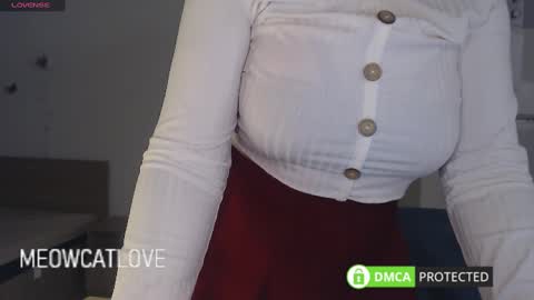 Snapshot of meowcatlove chatting on March 12, 2025, 9:03 pm meowcatlove online show from March 12, 2025, 9:03 pm