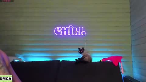  NIKKY  STIVE     Every day from 1000  to 200  EST time. online show from January 11, 2025, 3:31 pm