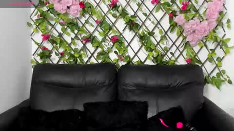 My next birthday is December 11th. online show from November 14, 2025, 12:42 am