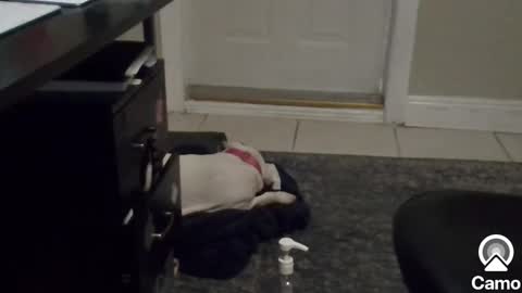 Snapshot of mg13999 chatting on January 6, 2025, 8:39 pm Mg13999 online show from January 6, 2025, 8:39 pm