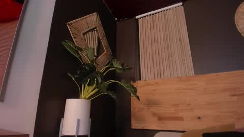 Snapshot of mia_jagger chatting on December 2, 2025, 11:48 am Val online show from December 2, 2025, 11:48 am