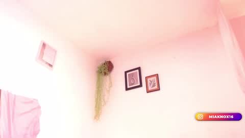 Snapshot of miaknox chatting on February 24, 2025, 12:05 pm Mia online show from February 24, 2025, 12:05 pm