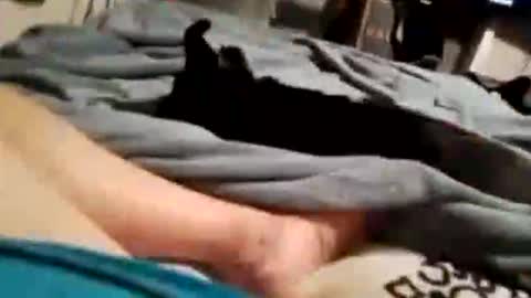 Snapshot of microdick52 chatting on October 21, 2025, 4:13 am Dick Doctor online show from October 21, 2025, 4:13 am