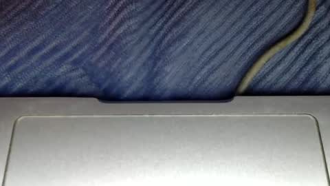 Snapshot of midiin chatting on December 5, 2024, 6:00 pm midiin online show from December 5, 2024, 6:00 pm