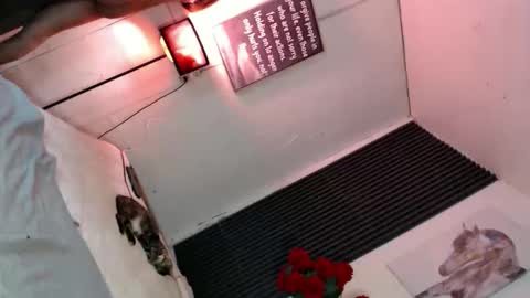 miss_bella69 online show from November 5, 2025, 12:10 am