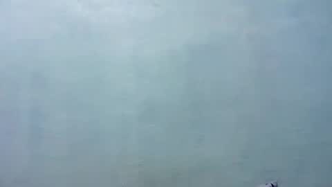 Merry online show from November 8, 2025, 8:14 am