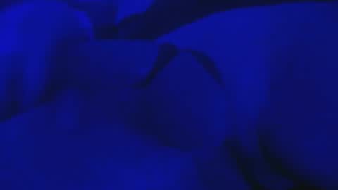 Mike Cho online show from October 4, 2025, 6:00 am