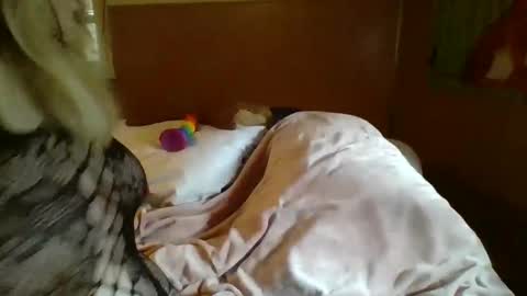 Snapshot of mitchellebunny7 chatting on February 5, 2025, 6:48 pm MichelleBunny7 online show from February 5, 2025, 6:48 pm