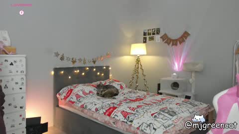 Snapshot of mjgreencat chatting on December 13, 2024, 6:59 pm mj online show from December 13, 2024, 6:59 pm