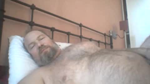 mofu781s online show from December 11, 2024, 8:26 am