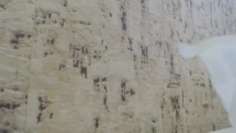 Snapshot of mohito200711 chatting on January 21, 2025, 10:41 am Mohito200711 online show from January 21, 2025, 10:41 am