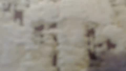 Snapshot of mohito200711 chatting on September 12, 2025, 6:35 am Mohito200711 online show from September 12, 2025, 6:35 am