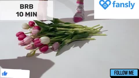 Snapshot of mommy_cum chatting on December 26, 2024, 2:12 am Mommy online show from December 26, 2024, 2:12 am