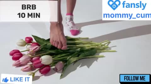 Snapshot of mommy_cum chatting on January 21, 2025, 2:11 am Mommy online show from January 21, 2025, 2:11 am