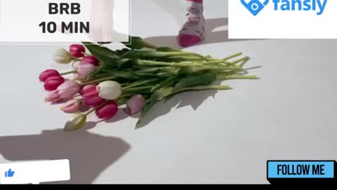 Snapshot of mommy_cum chatting on January 22, 2025, 5:16 am Mommy online show from January 22, 2025, 5:16 am