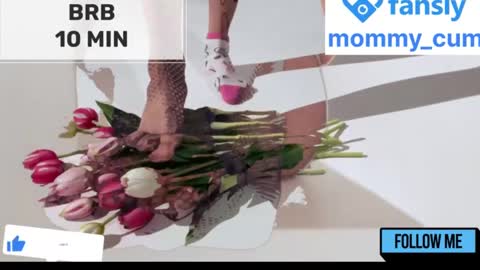 Snapshot of mommy_cum chatting on January 23, 2025, 8:25 am Mommy online show from January 23, 2025, 8:25 am