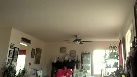 Snapshot of monkeedance chatting on January 1, 2025, 7:43 pm Monkee Dance online show from January 1, 2025, 7:43 pm