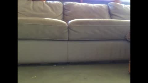 Snapshot of mookaite05 chatting on March 3, 2025, 2:26 am mookaite05 online show from March 3, 2025, 2:26 am