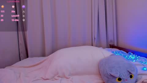 LANA online show from December 17, 2025, 11:38 am