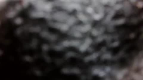 BouncyBoner online show from September 8, 2025, 11:04 pm