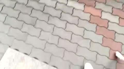 moos1 online show from September 12, 2025, 12:16 pm