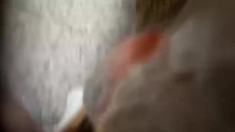 moos1 online show from September 25, 2025, 12:25 am