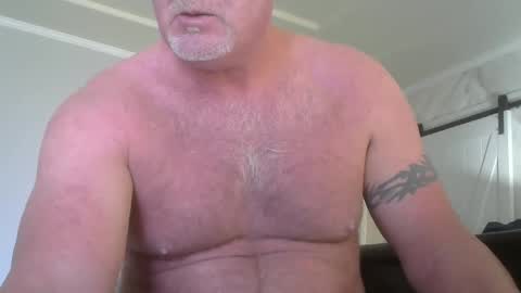 Snapshot of motorguy08 chatting on December 4, 2024, 9:35 pm motorguy08 online show from December 4, 2024, 9:35 pm