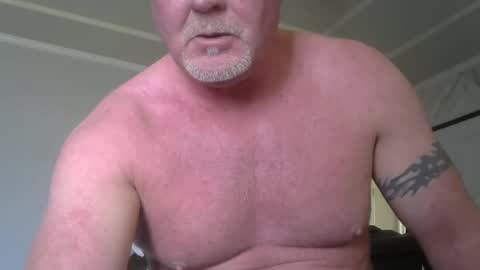 Snapshot of motorguy08 chatting on February 19, 2025, 10:31 pm motorguy08 online show from February 19, 2025, 10:31 pm