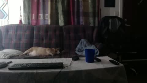 mr_happy12 online show from September 23, 2025, 1:19 am