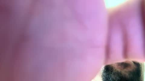 Snapshot of mrfrankfuckforfree chatting on December 2, 2024, 2:52 pm mrfrankfuckforfree online show from December 2, 2024, 2:52 pm