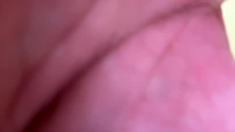 Snapshot of mrfrankfuckforfree chatting on January 1, 2025, 8:26 pm mrfrankfuckforfree online show from January 1, 2025, 8:26 pm