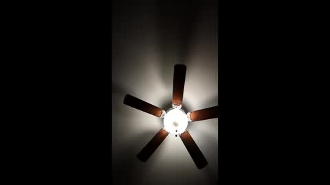 mrorange50187 online show from January 8, 2025, 11:30 pm