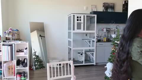 Snapshot of ms_mochii chatting on October 25, 2025, 6:35 pm R o r i SnapChat heyroriv2 wednesday - sunday Noon oclock mountain - 5pm mountain online show from October 25, 2025, 6:35 pm